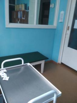 Кушетка, медицинский столик со стеклянной крышкой:
а) с набором прививочного инструментария
б) со средствами для оказания неотложной помощи